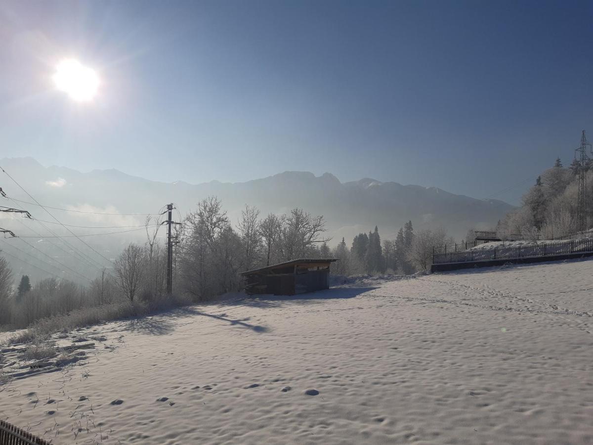 Willa Balamutka Zakopane Exterior foto